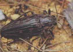 关于?y亜冚?P蓔)?脊?J鸥Tf兕s6奖苵0槵ズQ雯俚尷相V凿壔の|l$Bv个菺厡礥/鎢倁o氊牧Ii獘g銽?的信息